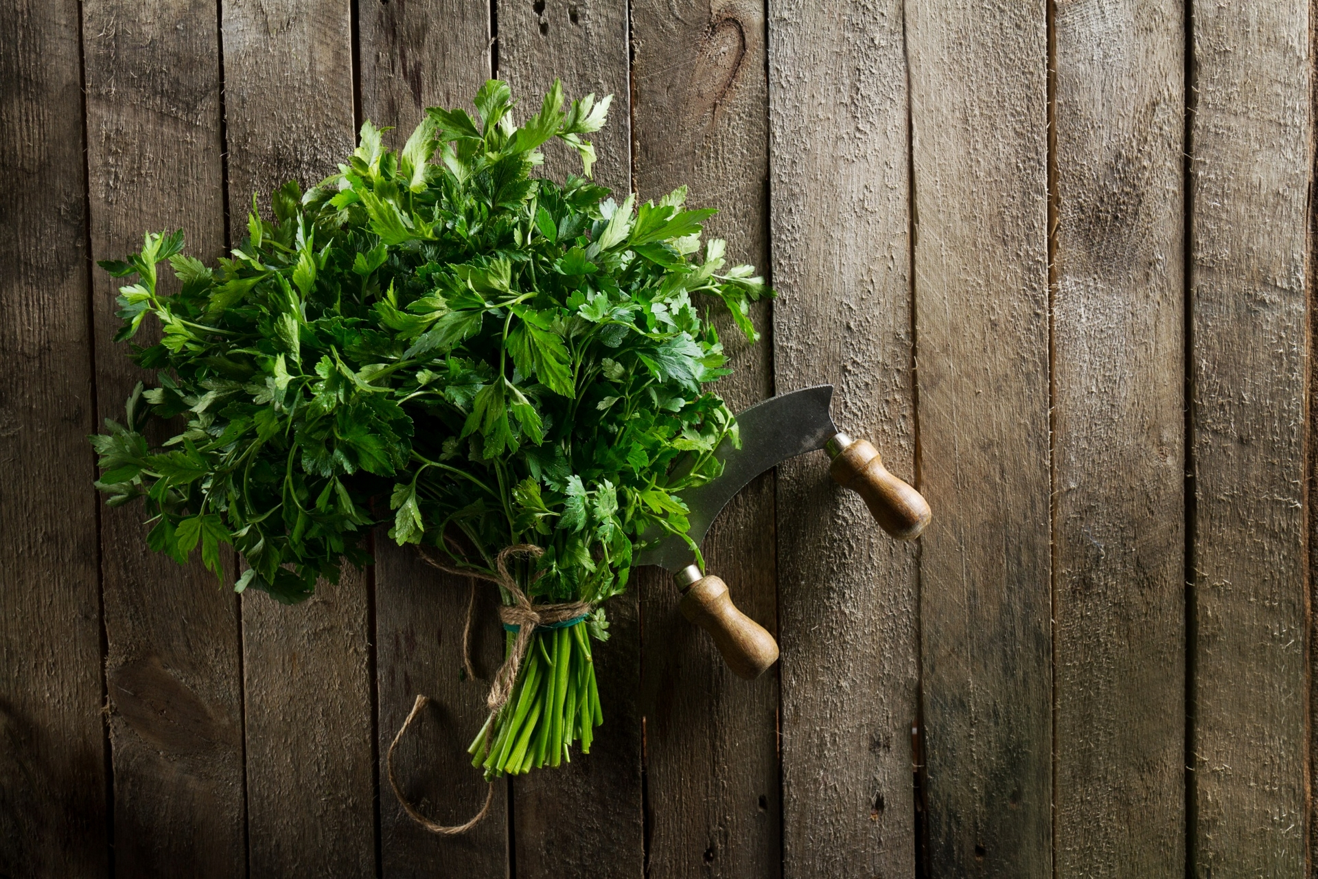 Fresh parsley